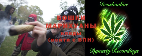 крисы Тында