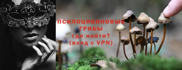 ГАЛЛЮЦИНОГЕННЫЕ ГРИБЫ Туринск