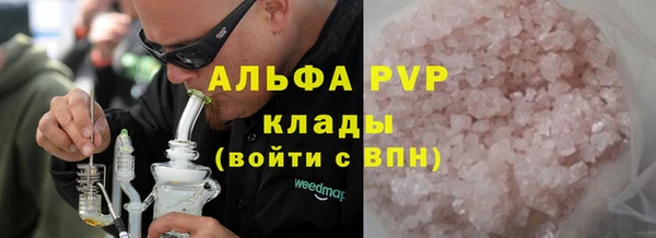 крисы Тында