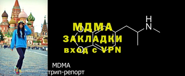 ГАЛЛЮЦИНОГЕННЫЕ ГРИБЫ Туринск