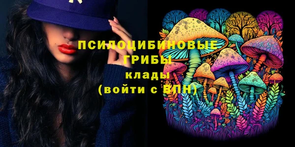 ГАЛЛЮЦИНОГЕННЫЕ ГРИБЫ Туринск
