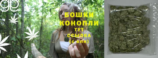 крисы Тында