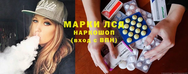 крисы Тында