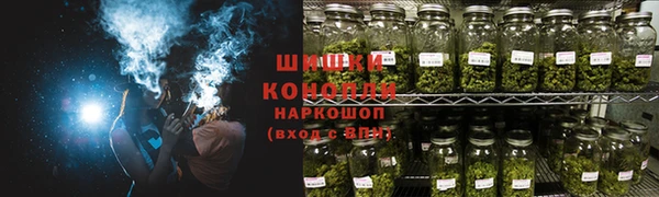 крисы Тында