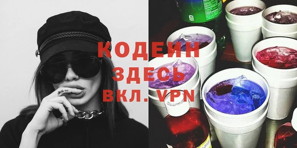 ГАЛЛЮЦИНОГЕННЫЕ ГРИБЫ Туринск